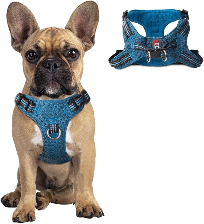 Dog Harness Step in Dog Vest Harness, Reflective Adjustable Puppy No Pull Harness Breathable Soft for Small and Medium Dogs Cats, Blue/Black, S-PawvioPets