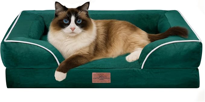 Comfort Expression Small Dog Beds Waterproof Cat Beds Orthopedic Foam Sofa Beds for Small Dogs Comfy Pet Bed with Washable Removable Cover & Non-Slip Bottom(XX-Small,Emerald)-PawvioPets