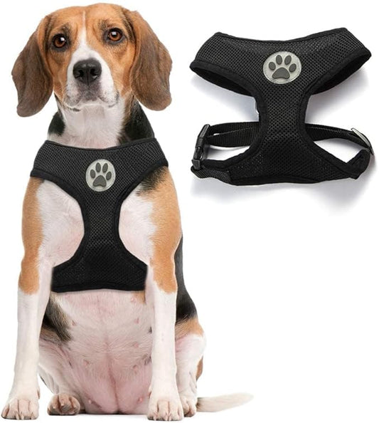 BINGPET Dog Vest Harness -Light Weight Breathable Sports Mesh - Pet Adjustable Harness Puppy Padded Harnesses Dog Vest Harness for Small Dogs-PawvioPets