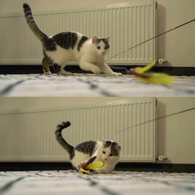 11PCS Cat Feather Toys Refills, 10PCS Feathers and 1PC String, Interactive Cat Wand Toy Replacement for Bored Indoor Adult Cats & Kittens-PawvioPets