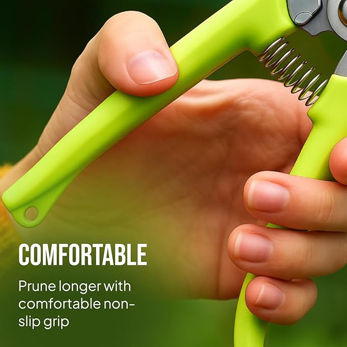 2-Pack Stainless Steel Gardening Scissors, Pruning Shears and Clippers for Gardening-PawvioPets