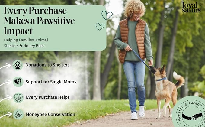 Freeze Dried Raw Dog Food - Premium Beef Flavor with High Protein and Grain Free Dog Food for Small or Large Breeds and Picky Eaters - Versatile as Meal Topper, Snack, and Treats, 5 Oz-PawvioPets