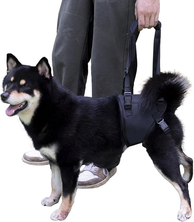 Dog Lift Harness for Dogs with Disabled Arthritis and Weak Back Legs, humanized Design with Comfortable Materials, Adjustable Back Legs and Straps, Suitable for Helping Dogs to Recover and Walk. (S)-PawvioPets