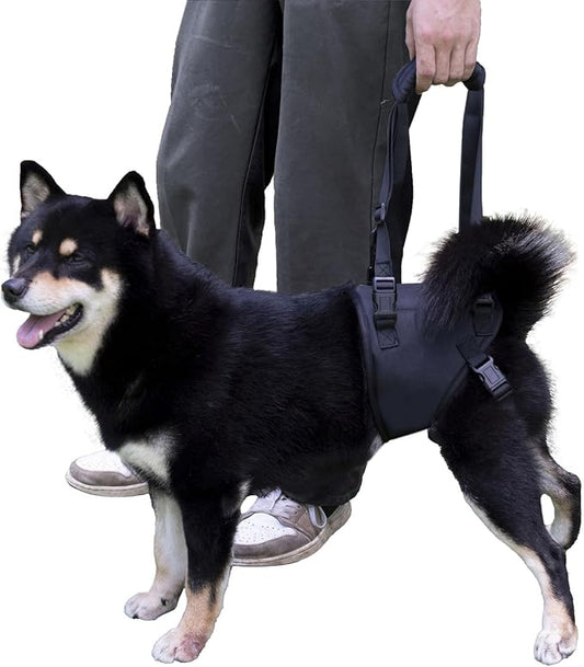 Dog Lift Harness for Dogs with Disabled Arthritis and Weak Back Legs, humanized Design with Comfortable Materials, Adjustable Back Legs and Straps, Suitable for Helping Dogs to Recover and Walk. (S)-PawvioPets
