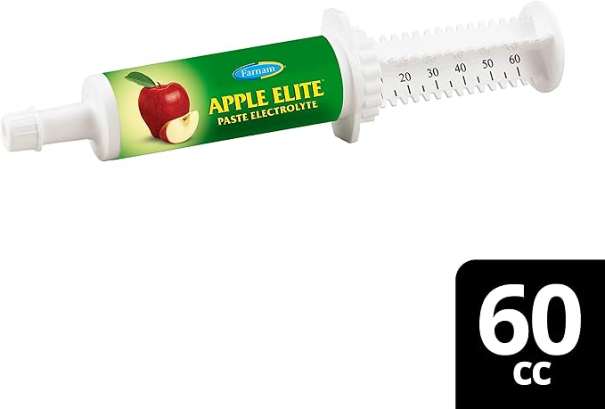 Farnam Apple Elite Electrolyte Paste Supplement for Horses, Replaces Vital Minerals, Encourages Hydration, No Added Sugar, 60 cc syringe-PawvioPets