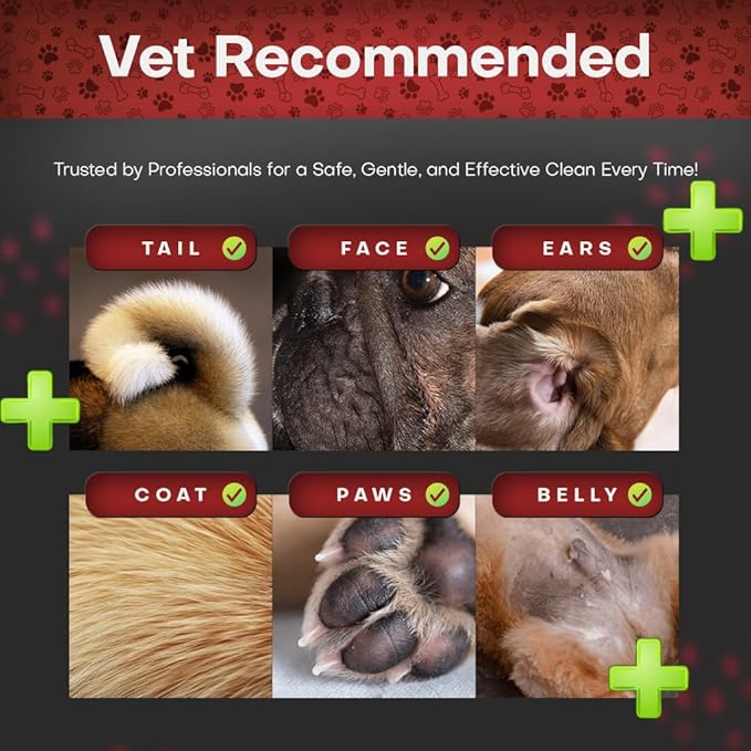 2% Chlorhexidine Wipes for Dogs 3X Larger | Yeast Infection Ringworm Fungus Hot Spot Itch Relief | Medicated Antibacterial Antifungal Extra Gentle Soothing Topical Wipes for Dog Cat | 50 Wipes-PawvioPets