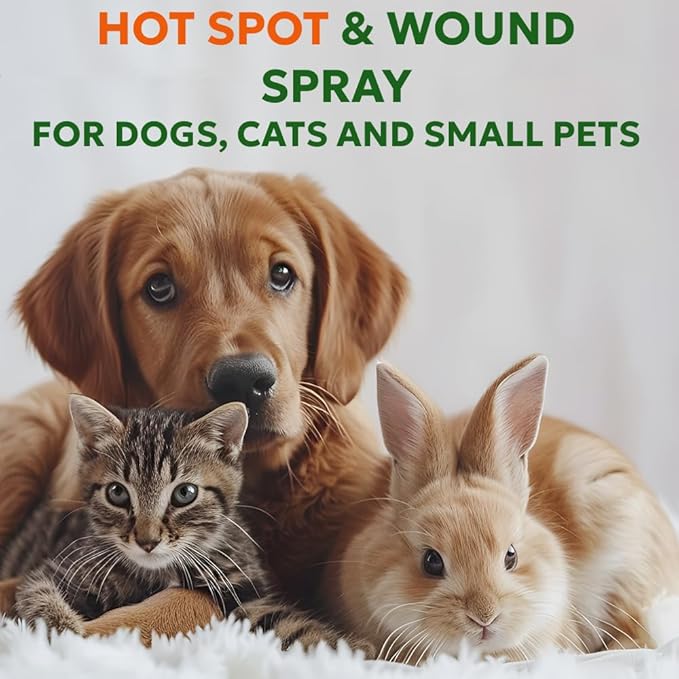 Forticept Hot Spot Spray for Dogs Cats & Horses, Itch Relief Wound Cleanser with Aloe Vera, 8 oz-PawvioPets