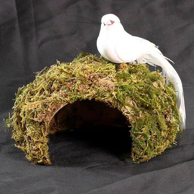 Coconut Hamster Hideout Hamster House Gerbil Cage for Small Animals with a Bundle of Apple Sticks a Carrot (Green)-PawvioPets