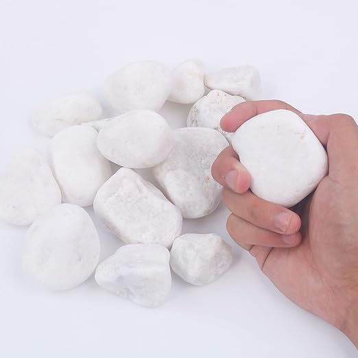 2LB 1"-2" White River Rocks for Plants, Polished Pebbles for Garden Landscaping, Planters, Aquariums, Vase Fillers – Indoor & Outdoor Decor-PawvioPets