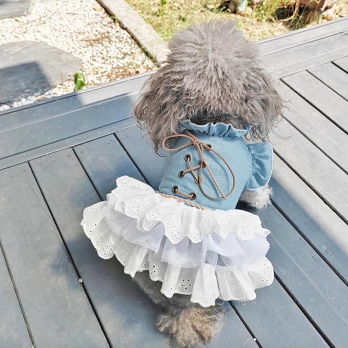 Girl Dog Denim Dress with Flared Sleeves Dog Jeans Jacket Blue White Puppy Clothes for Small Dogs Cat Apparel Cake Skirt Pet Outfit (Blue, Small)-PawvioPets