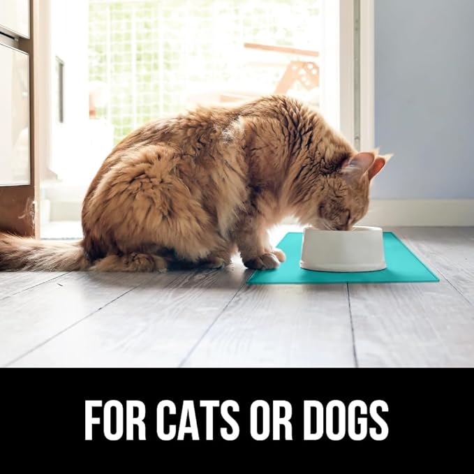 GORILLA GRIP 100% Waterproof Raised Edge BPA Free Silicone Pet Feeding Mat, Dog Cat Food Mats Contain Spills Protects Floors, Placemats for Cats and Dogs Water Bowl, Pets Accessories 16x10, Turquoise-PawvioPets