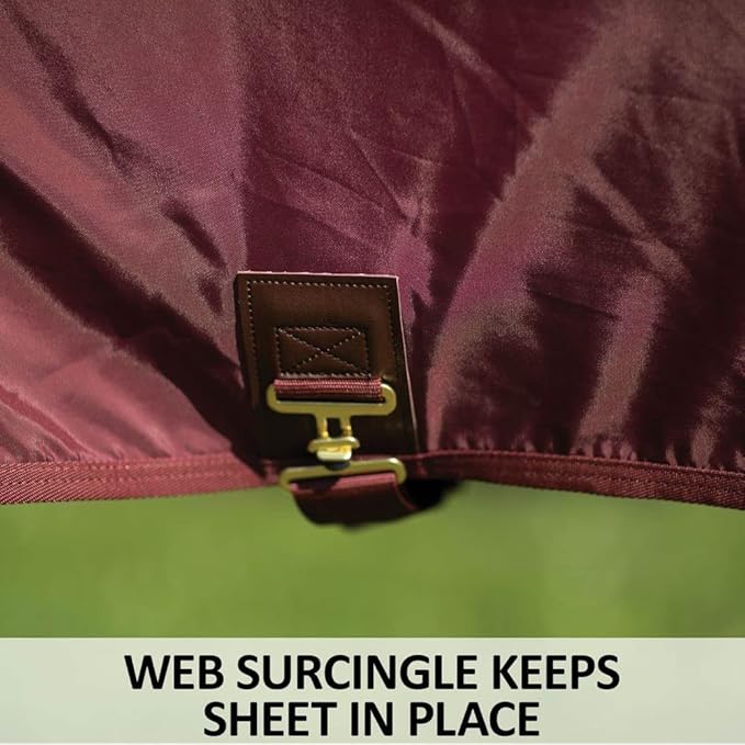 Dura-Nylon Horse Stable Sheet | Ultimate Comfort & Protection Horse Sheet | Keeps Coats Smooth & Shiny-PawvioPets