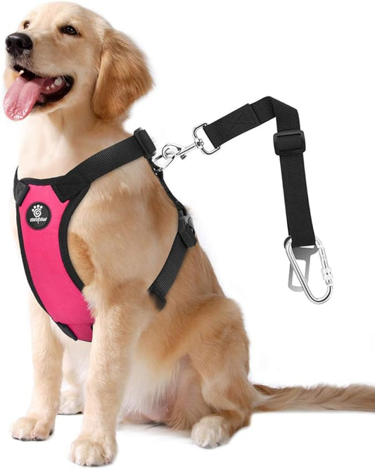 Dog Seat Belt, Safety Vest Dog Car Harness with Adjustable Buckle Dog Seat Belt for Vehicle Nylon Pet Safety Seat Belts Heavy Duty(XL, Magenta)-PawvioPets