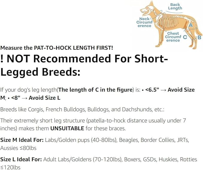 Dog Knee Brace with Adjustable Support – ACL & CCL Tear Recovery, Post-Surgery Stabilization, Mobility Aid for Rear Legs – Includes Secure Chest Harness for Dogs(Right,L)-PawvioPets