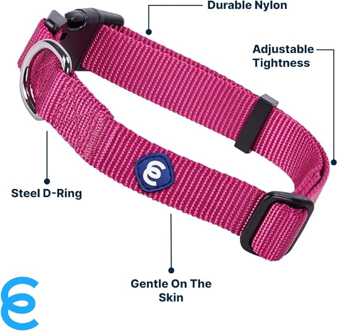 Blueberry Pet X-Small Dog Collar | Girl Dog Collars | Female Dog Collar XS | Quick Release Dog Collar | Very Berry Nylon Dog Collar for Girl, Collar for Small Dogs-PawvioPets