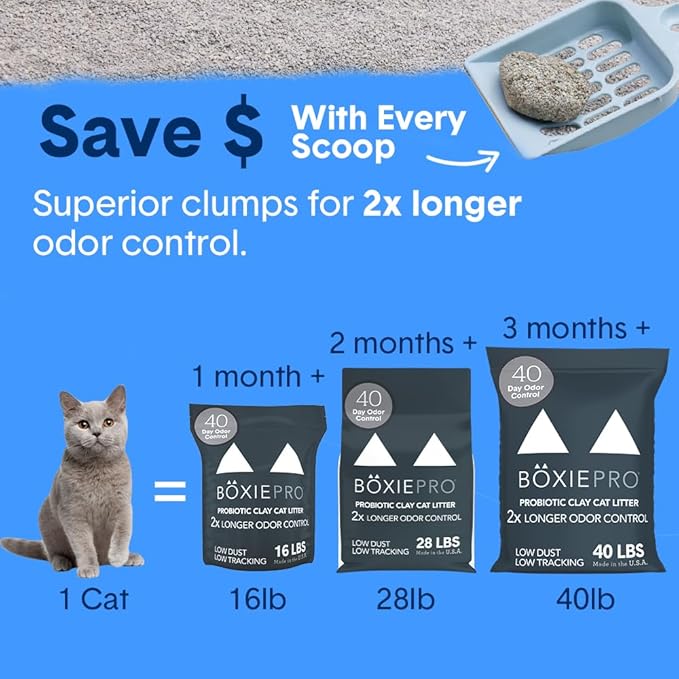 Boxie® Probiotic 40 Day Natural Odor Control Cat Litter, 16lb Clumping Clay Kitty Litter (Pack of 2)-PawvioPets