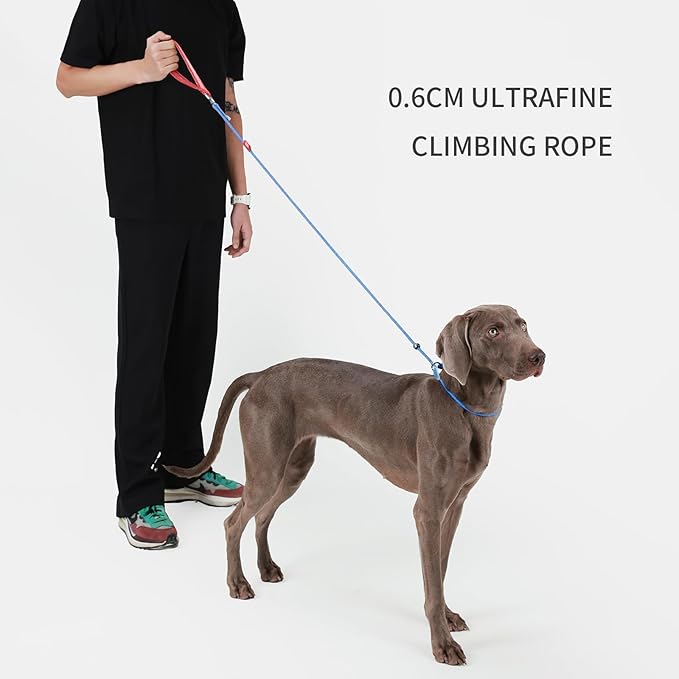 Dog Anti-Slip Leash 5FT with Metal Stopper - Durable No-Pull Training Lead for Small, Medium & Large Dogs - Comfortable Handle Nylon Rope, Tangle-Free Pet Walking Leash (Blue, 5.6FT)-PawvioPets