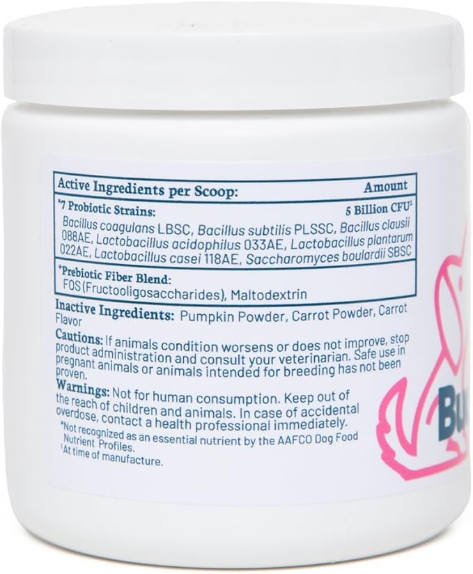 Buddy Biotics Probiotic + Prebiotic for Dogs- Gut Flora Health, Digestive and Immune Health, Diarrhea and Bowel Support – 5 Billion CFU per Scoop-PawvioPets
