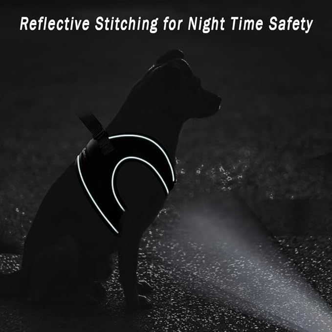 Comfort Fit Step-in Dog Harness for Small Medium Dogs – XS Black – No Pull, Soft Padded, Reflective Vest – Escape Proof Adjustable Puppy Harness for Walking, Training, Service & Everyday Use-PawvioPets