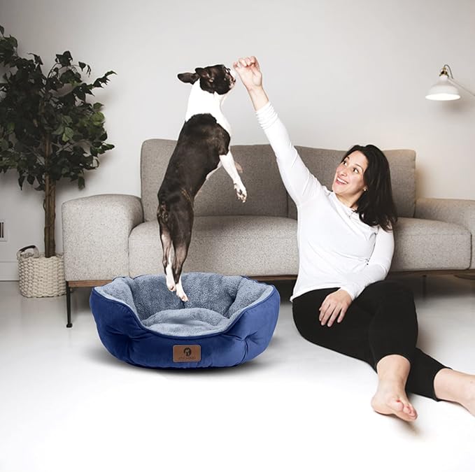 Asvin Small Dog Bed for Small Dogs, Cat Beds for Indoor Cats, Pet Bed for Puppy and Kitty, Extra Soft & Machine Washable with Anti-Slip & Water-Resistant Oxford Bottom, Blue, 20 inches-PawvioPets