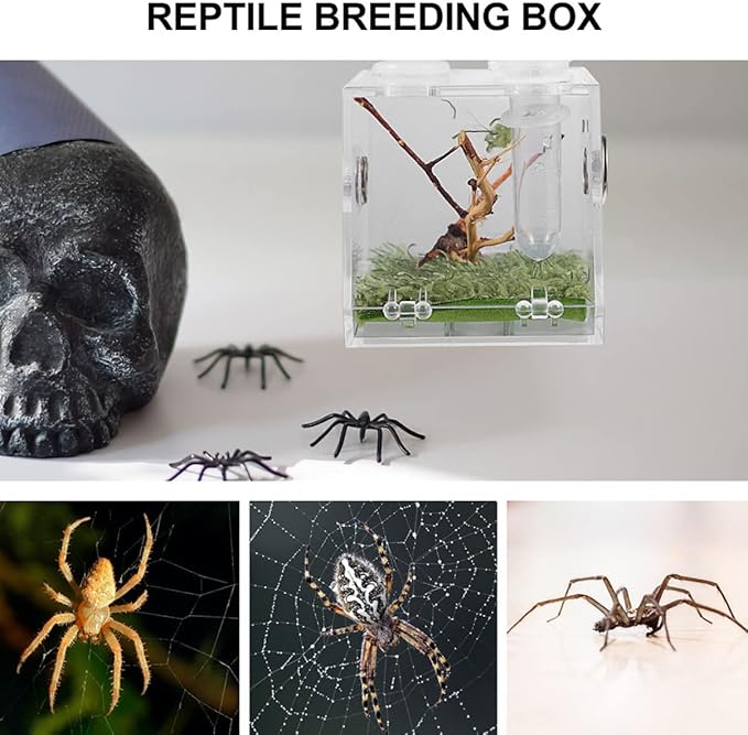 balacoo 8 Sets Jumping Spider Enclosure: Spider Cage Habitat Jumping Terrarium Micro Scorpion Droppers Reptile Hide Clear Enclosure Breeding Box Case with Breeding Tweezers-PawvioPets