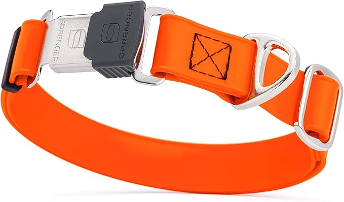 Dogline Biothane Waterproof Dog Collar with Herm Sprenger Stainless Steel Quick Release Buckle – Heavy Duty Tactical Durable Collar for Dogs – Comfortable and Safe Pet Collar, W 3/4" L 12-19", Orange-PawvioPets