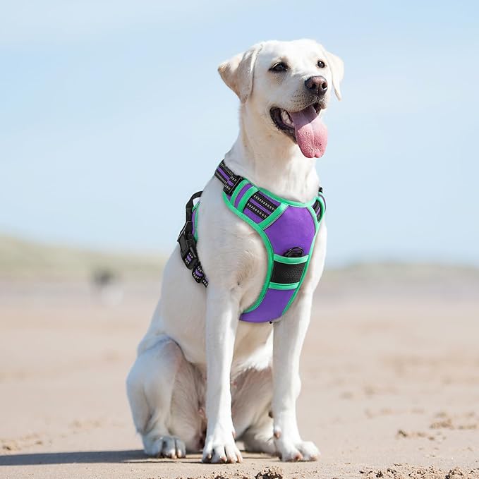 Eagloo Dog Harness for Large Dogs, No Pull Service Vest with Reflective Strips and Control Handle, Adjustable and Comfortable for Walking, No Choke Pet Harness with 2 Metal Rings, Purple & Green, L-PawvioPets