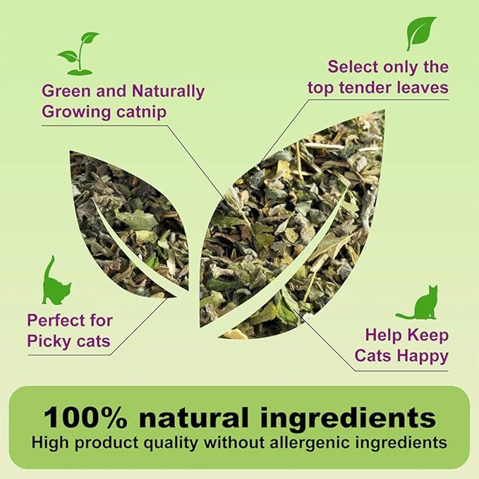 210ML Organic 100% Natural Catnip Cattle Grass Mint Taste Funny Cat Toy New Cat Toy Interactive Cat Toys Pet Supplies-PawvioPets