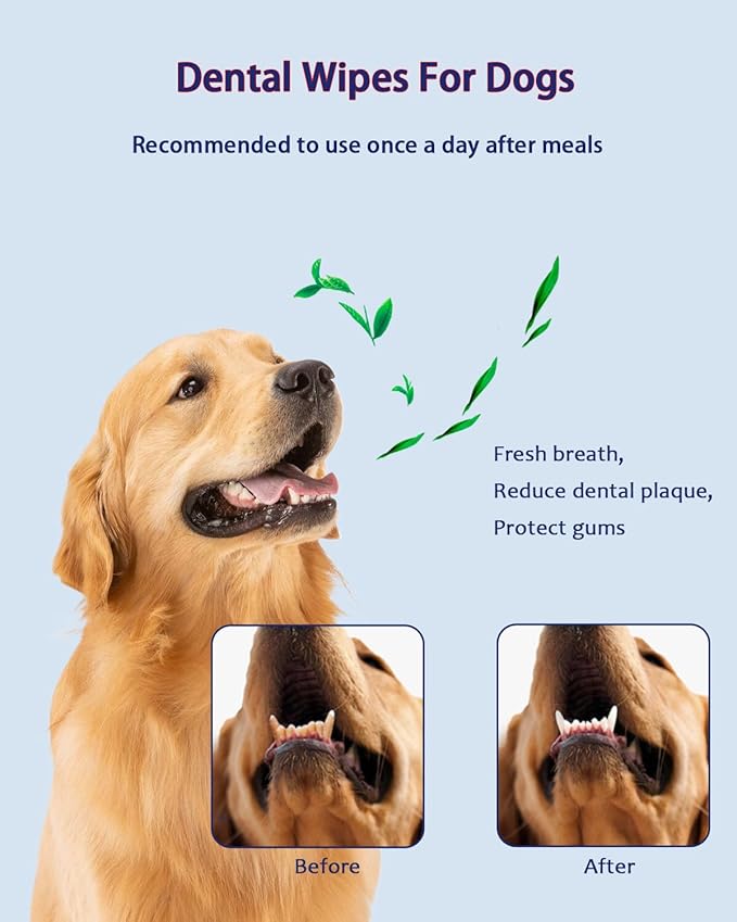 Dog Dental Wipes – Pet Teeth Cleaning Finger Pads for Dogs & Cats, 50 Count – Remove Plaque & Tartar, Freshen Breath, Easy Oral Care, Tea Polyphenol Formula-PawvioPets