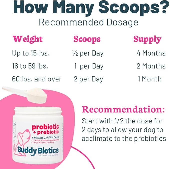 Buddy Biotics Probiotic + Prebiotic for Dogs- Gut Flora Health, Digestive and Immune Health, Diarrhea and Bowel Support – 5 Billion CFU per Scoop-PawvioPets