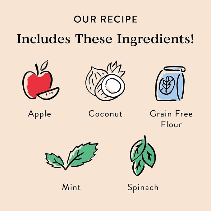 Bocce’s Bakery Dailies Brushy Sticks to Support Oral Health & Fresh Breath, Wheat-Free Dental Bars for Dogs, Made with Real Ingredients, Baked in the USA, All-Natural Coconut & Mint Recipe, Large Dogs-PawvioPets