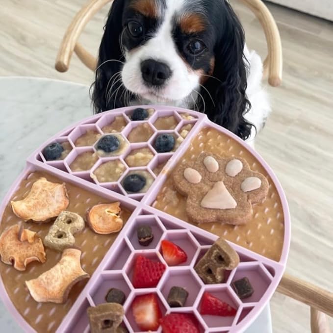 BUDDY BUDDER 6 Pack Mixed Flavor Squeeze Packs, 100% Natural Dog Peanut Butter, Healthy Peanut Butter Dog Treats, Made in USA, (4oz Packs)-PawvioPets