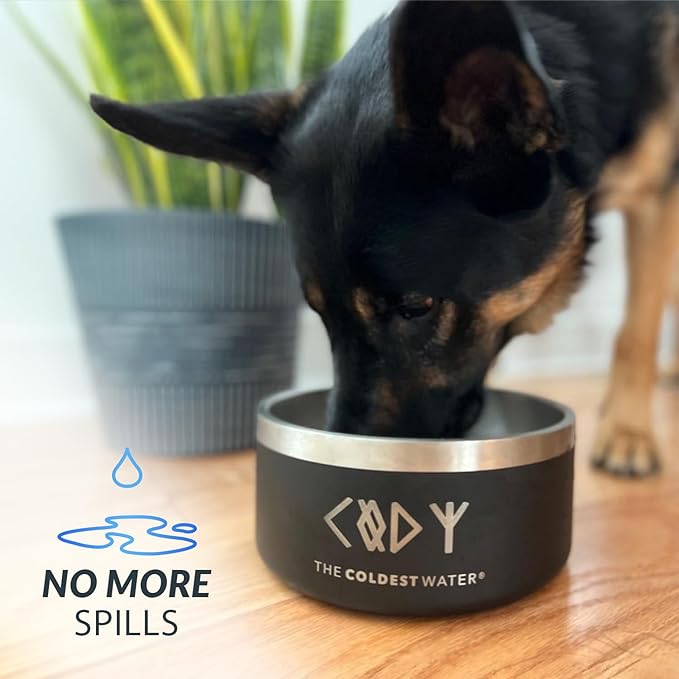 Coldest Dog Bowl - Anti Rust Metal, Non Slip, 3 Layers Insulated Stainless Steel Dog Bowls - Spill Proof & Heavy Duty - Water Bowl for Dogs, Cats & Pets, Dish Washer Safe (200 oz, Stealth Black)-PawvioPets