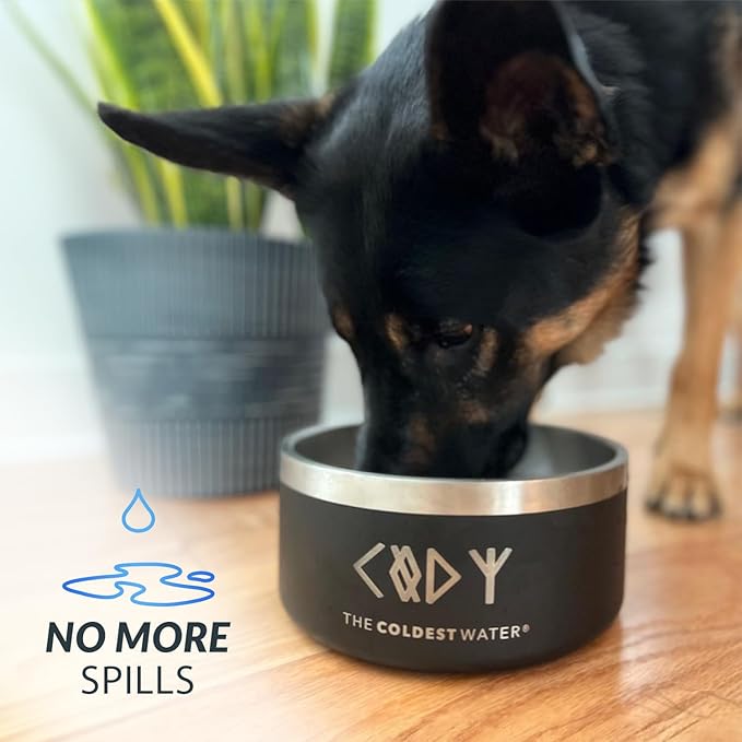 Coldest Dog Bowl - Anti Rust Metal, Non Slip, 3 Layers Insulated Stainless Steel Dog Bowls - Spill Proof & Heavy Duty - Water Bowl for Dogs, Cats & Pets, Dish Washer Safe (64 oz, Celestial Blue)-PawvioPets