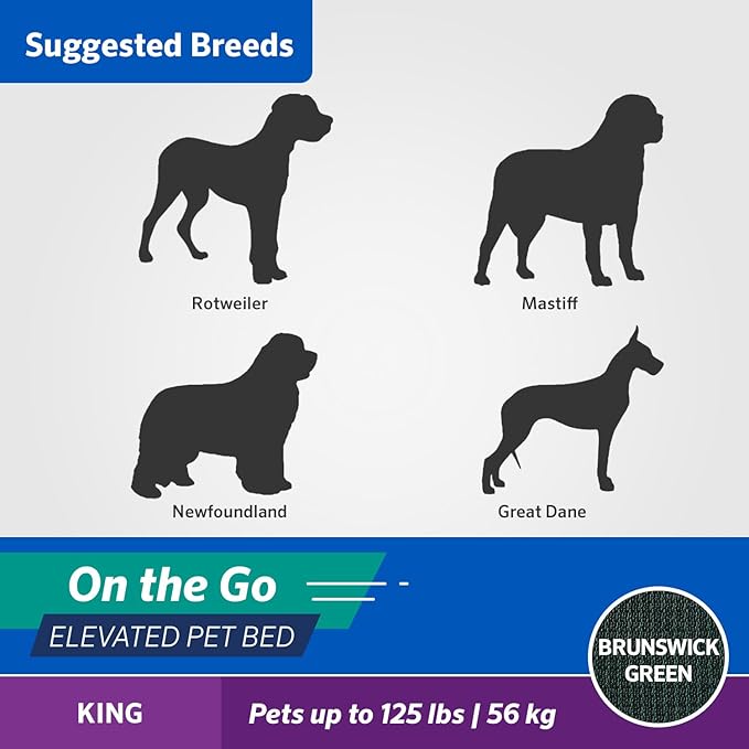 Coolaroo On-The-Go Elevated Dog Bed - Foldable Pop-Up Travel Dog Bed with Breathable, Moisture-Resistant Fabric, Carry Bag Included, Lightweight & Portable, Brunswick Green, Extra Large-PawvioPets