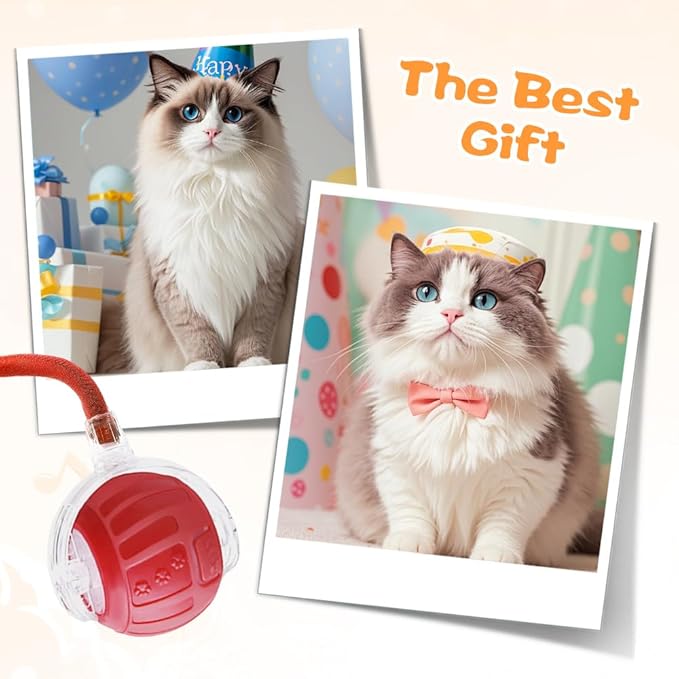 2026 New Interactive Pet Toy Ball, Smart Interactive Toy Ball for Cats & Dogs, Electric Rolling Pet Toy Ball, Rechargeable Interactive Cat Toys for Bored Indoor Cats Kittens to Keep Busy (Red)-PawvioPets