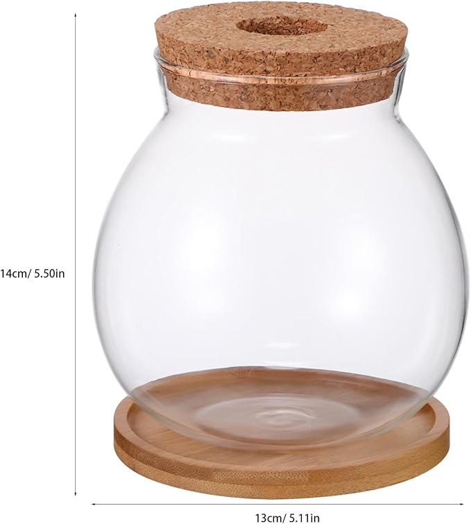 Desktop Fish Bowl Clear Glass Small Betta Fish Tank with Wood Lid and Bamboo Stand Table Hydroponic Plants Terrarium for Home Office Decoration 13 * 14cm-PawvioPets