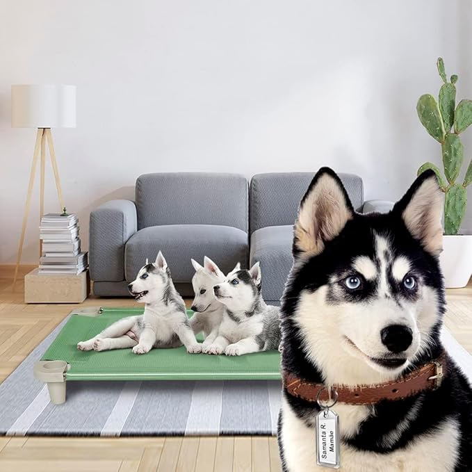 Acrimet Cooling Elevated Pet Dog Bed, Washable and Breathable Mesh Cot, Stainless Steel Frame, Indoor & Outdoor Use, fits Dogs up to 110 lbs (Size: 40” x 24”), Green, 1 Unit-PawvioPets