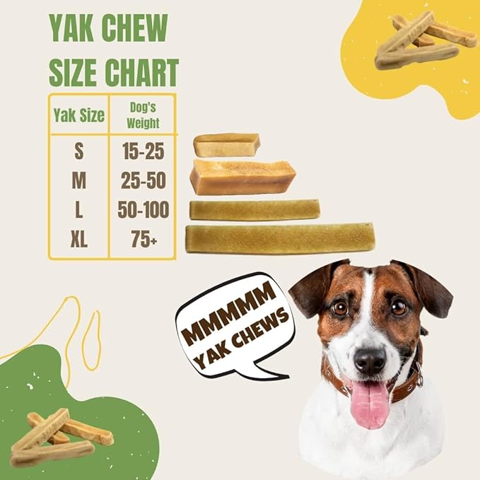 EcoKind Premium Gold Yak Cheese Himalayan Dog Chews, Dog Treats Large Breed, All Natural, High Protein, for Aggressive Chewers, Large - 3 Chews-PawvioPets