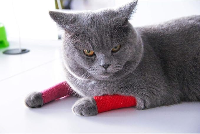 AUPCON Vet Wrap Cohesive Bandages Bulk Self Adhesive Bandage Wrap Self Adherent Wrap Non-Woven for Dogs Pet Animals & Ankle Sprains & Swelling 2 Inch x 5 Yards (2 Inch Black)-PawvioPets