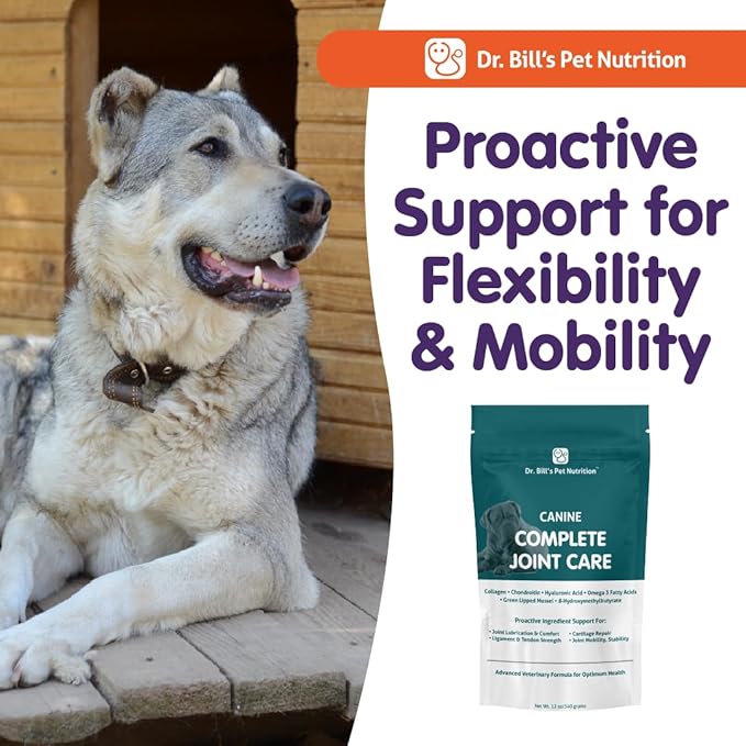 Dr. Bill’s Canine Complete Joint Care – Hip & Joint Supplement for Dogs for Mobility, Muscle Support & Inflammation Relief – Green Lipped Mussel, Chondroitin, Collagen, Omega-3 – Powder, 340g-PawvioPets