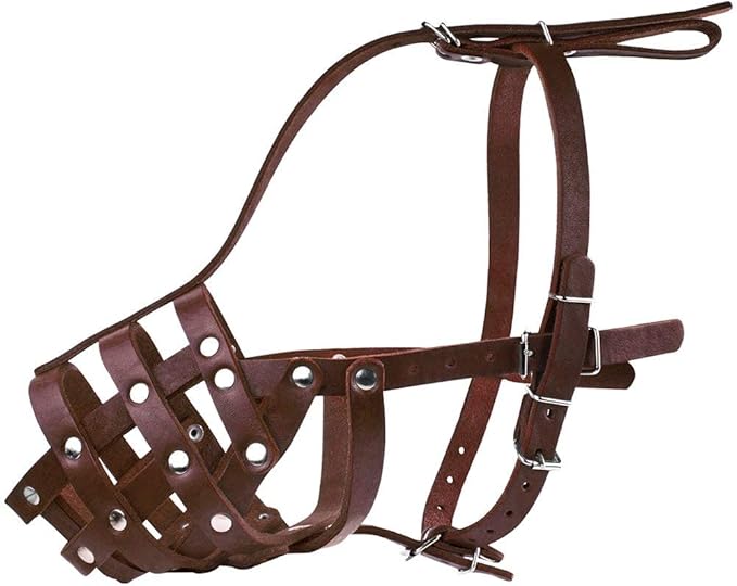 CollarDirect Dog Muzzle German Shepherd Dalmatian Doberman Setter Leather Basket Medium Large Breeds (Chestnut Brown, Large)-PawvioPets