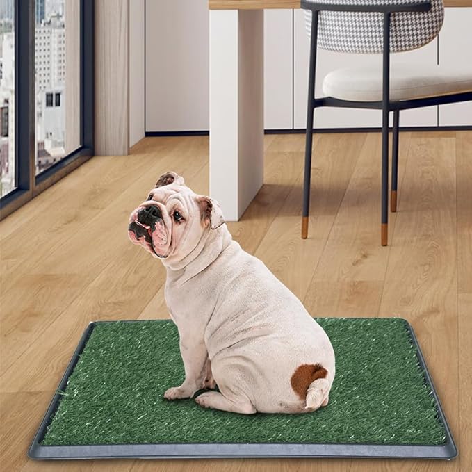 Artificial Grass Dog Grass Pad with Tray, Reusable Pet Urinal Pads for Training, 4 Layers Washable Bathroom Balcony Indoor Dog Potty (M-20×25")-PawvioPets