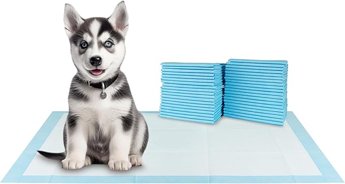 BV XXL Puppy Pads 40 Count 30" x 36" - Leak-Proof Pee Pads for Dogs with 6-Layer Design, Rapid Dry Sheet & Attractant - Dog Pad Extra Large with Odor Control - Perfect for Big Dogs & Indoor Use-PawvioPets