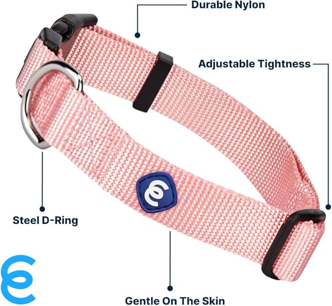 Blueberry Pet X-Small Dog Collar | Girl Dog Collars | Female Dog Collar XS | Quick Release Dog Collar | Baby Pink Nylon Dog Collar for Girl, Collar for Small Dogs-PawvioPets