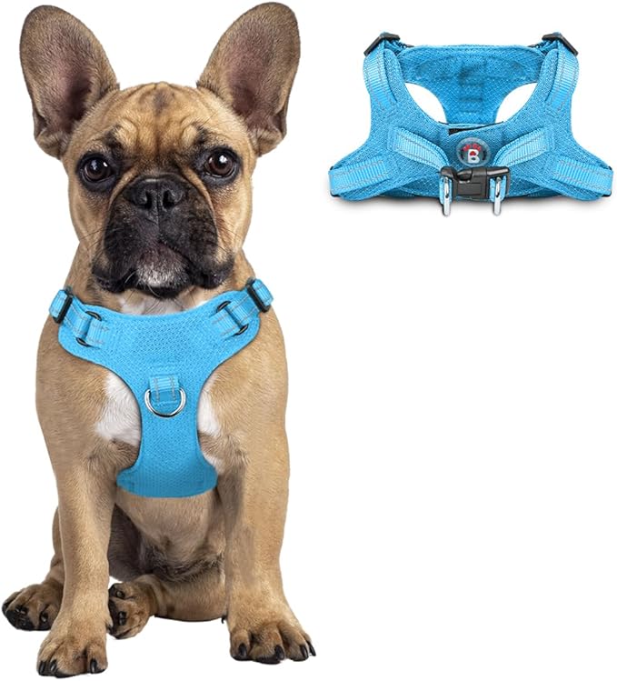Dog Harness Step in Dog Vest Harness, Reflective Adjustable Puppy No Pull Harness Breathable Soft for Small and Medium Dogs Cats, Blue, S-PawvioPets
