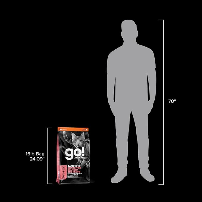 Go! Solutions Carnivore, Grain-Free, Protein Rich Dry Cat Food, Salmon and Cod Recipe, 16 lb Bag-PawvioPets