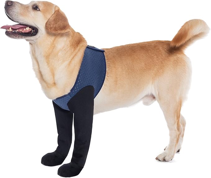 COODEO Dog Socks to Prevent Licking Paws, Dog Healing Boots & Paw Protectors with Non-Slip Bottoms to Protect Wounds, Waterproof Sleeve Dog Shoes for Licking (Blue, XL)-PawvioPets