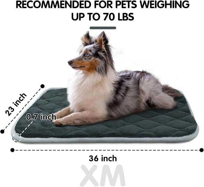 furrybaby Dog Bed Mat Flat Crate Mat with Anti-Slip Bottom Machine Washable Pet Kennel Pad for Dog Sleeping (XM 36x23'', Grey Mat)-PawvioPets