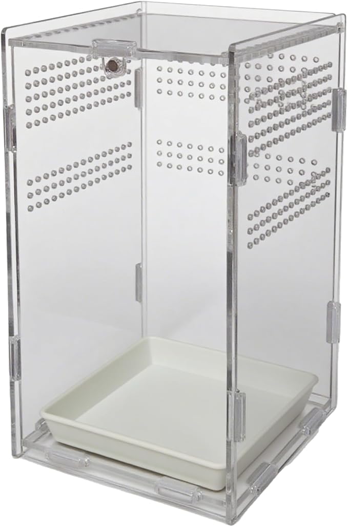 Acrylic Jumping Spider Enclosure,Reptile Enclosure,Bug Habitat, for Small Tree Dwelling Reptiles,Arboreal Tarantula Enclosure, Spider Terrarium Kit,Plastic Terrarium(4.7" X 4.7" X 8")-PawvioPets